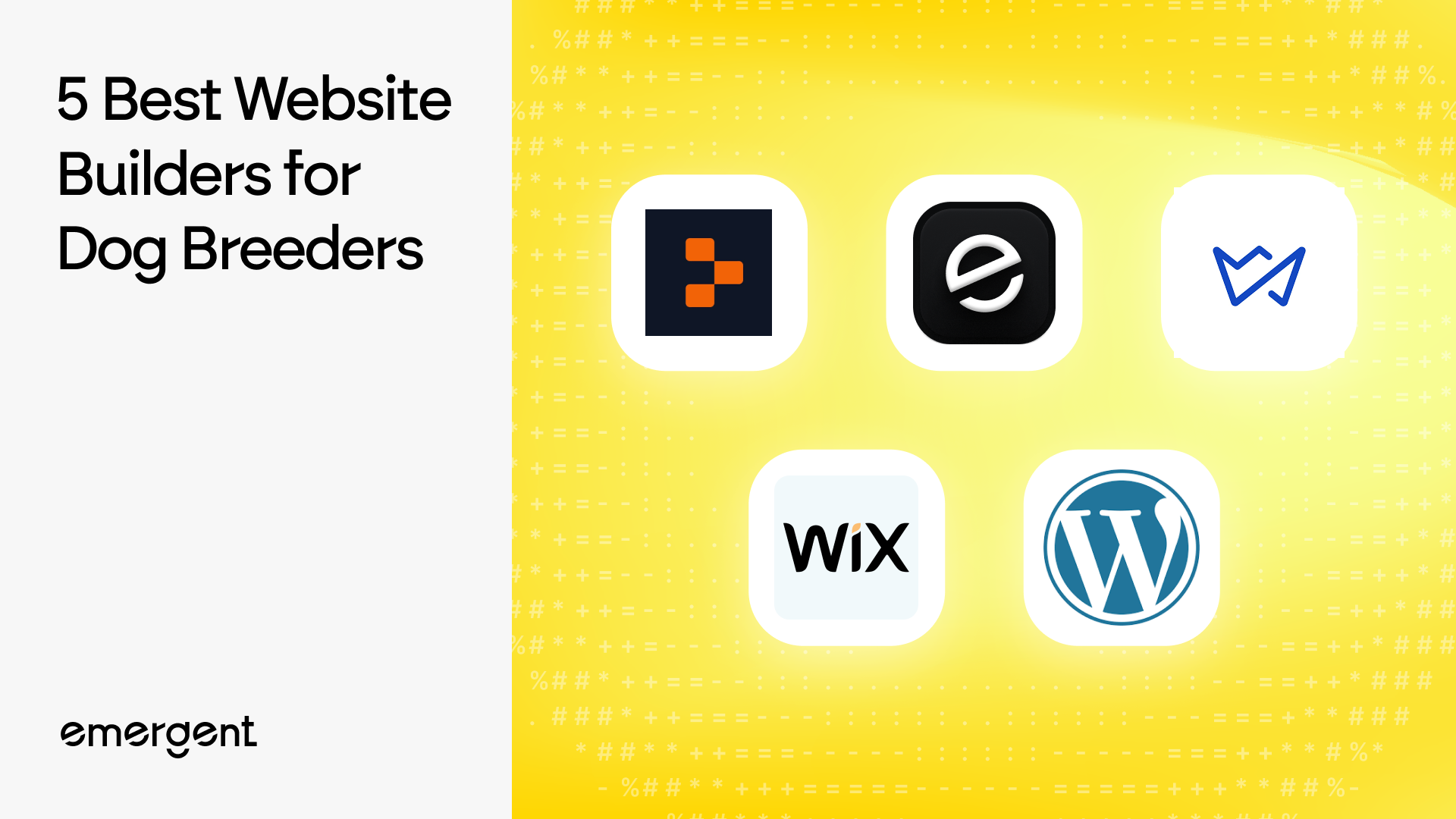 5 Best Website Builders for Dog Breeders