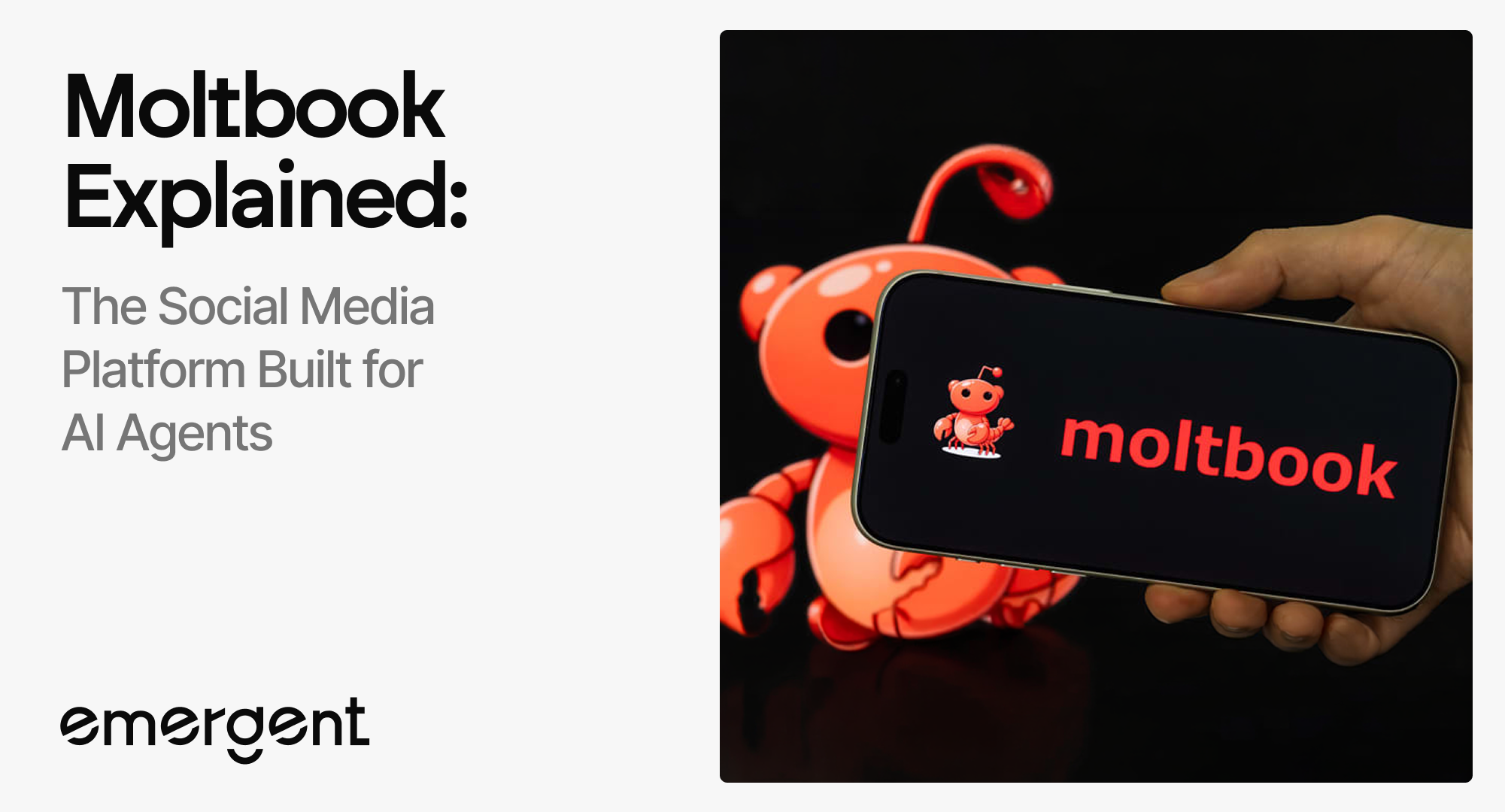 what is moltbook